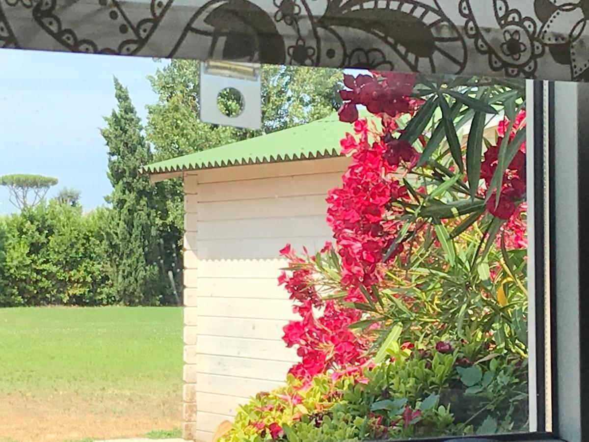 Podere Venanzio Lido di Camaiore Esterno foto